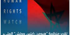 رد مفتوح حول ادعاءات تقرير هيومن رايتس ووتش