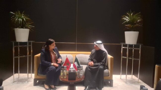 Comité arabe DH et AG